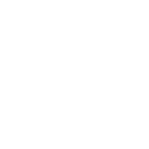 Cropped Logo White 300DPI 2 Copy 1 300x300